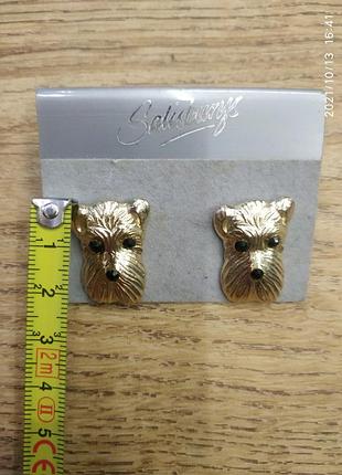 Salisburys сережки тер'єр 4