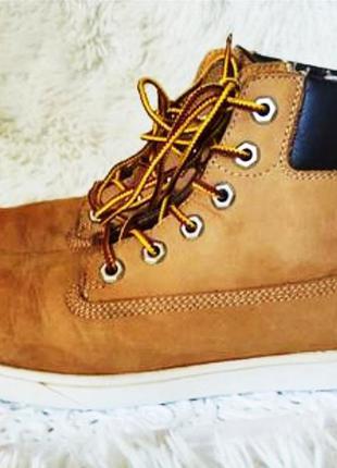 Демисезонные ботинки  timberland