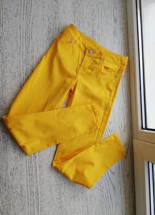 Яркие, женские брючки