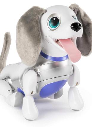 Інтерактивний собака робот-іграшка zoomer playful pup від spin master 2