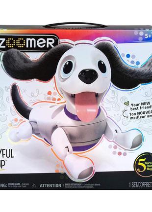 Интерактивная собака робот-игрушка zoomer playful pup от spin master4 фото