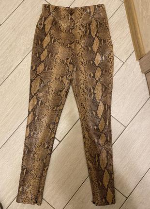 Легінси з принтом змії від zara