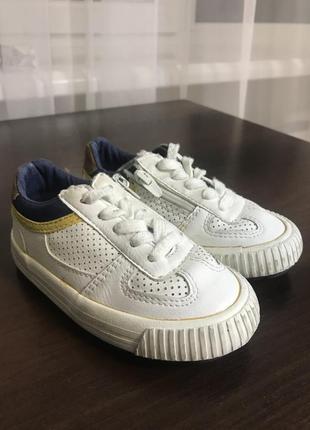 Кеді zara