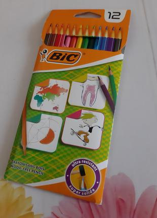 Цветные карандаши.bic