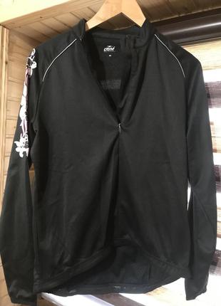 Crane мастірка.