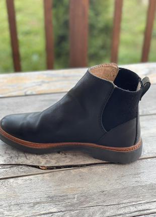 Шкіра, clarks, 403 фото