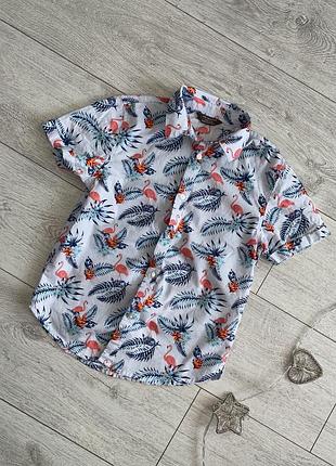 Стильна дитяча сорочка з коротким рукавом 7-8 років.