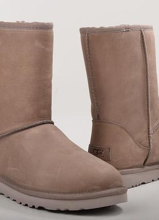 #h11 кожаные сапоги ugg кожа оригинал 38р-24.5см