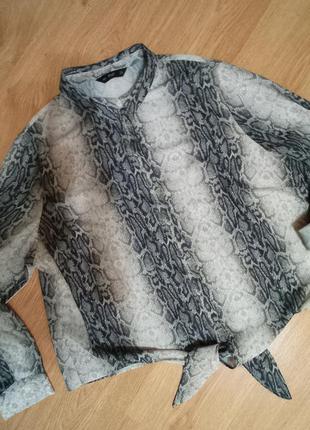 Рубашка зміїний принт