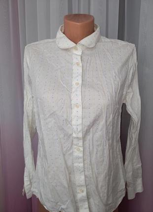 Блузка сорочка офіс принт дрібні горошки3 фото