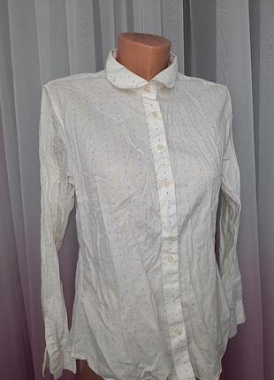 Блузка сорочка офіс принт дрібні горошки