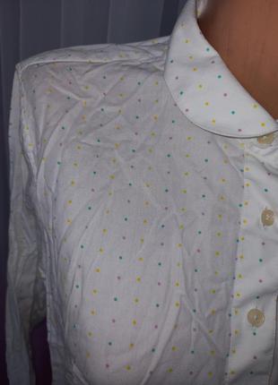 Блузка рубашка офис принт мелкие горошки2 фото