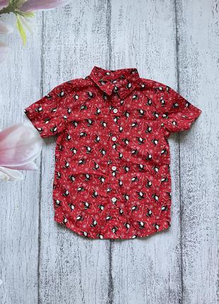 Крутая новогодняя рубашка пингвин новогодний свитер primark 3-4года