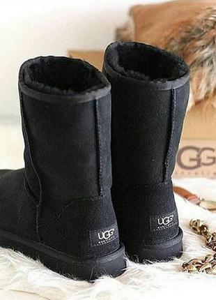 Уггі ugg classic short black2 фото