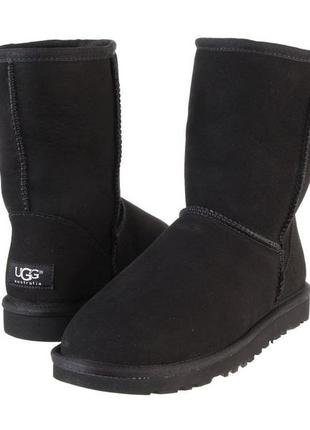 Угги ugg classic short black3 фото