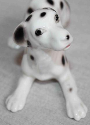 Фарфоровая статуэтка собака далматинец jrjs cluj румыния2 фото