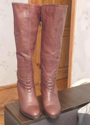 Чоботи dino bigioni італія еврозима