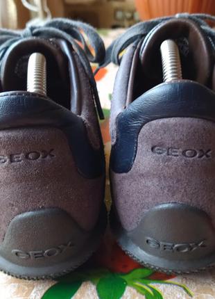 Кросівки geox respira8 фото