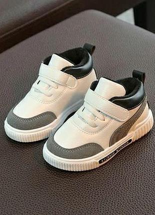 Шикарное зайтопи