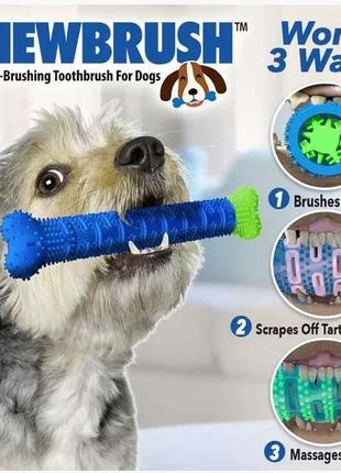 Зубна щітка для собак щітка-кістка для чищення зубів dogs brush1 фото