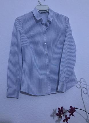 Базовая белая рубашка в голубую полоску2 фото