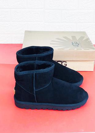 Мужские замшевые мини угги низенькие угг мужские замш mini ugg leather black