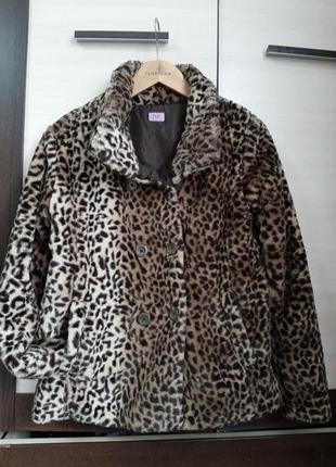 Шубка ніжна