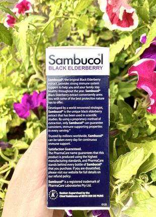 Sambucol for kids чёрная бузина для иммунитета iherb5 фото