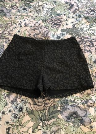 Шорти з високою талією