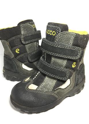 Зимние кожаные термоботинки ecco