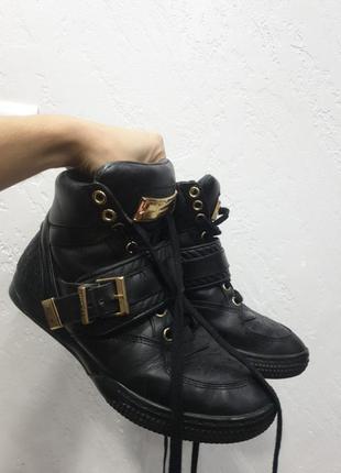 Кросівки, черевики