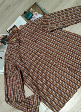 Сорочка в клітку