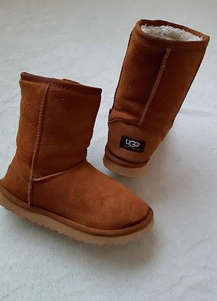 Уггі ugg australia