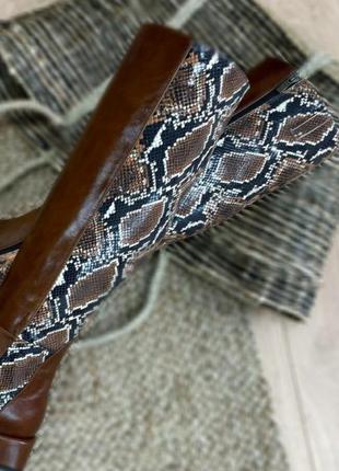 Красиві чоботи belucci 👄белуччі дизайнерські пітон шкіра натуральна осінь зима3 фото