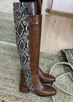 Красиві чоботи belucci 👄белуччі дизайнерські пітон шкіра натуральна осінь зима1 фото