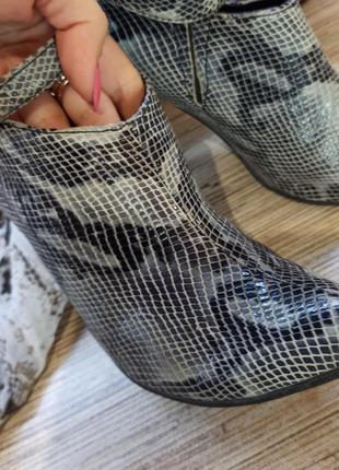 Ботильйони під рептилію davos gomma 38 р.