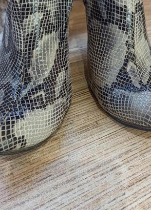 Ботильйони під рептилію davos gomma 38 р.