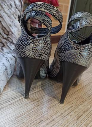 Ботильйони під рептилію davos gomma 38 р.