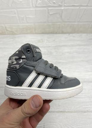 Черевики кросівки adidas1 фото