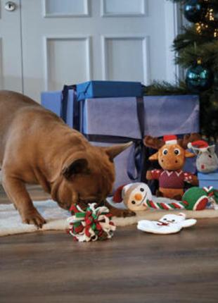 Іграшка для кота або собаки набір zoofari