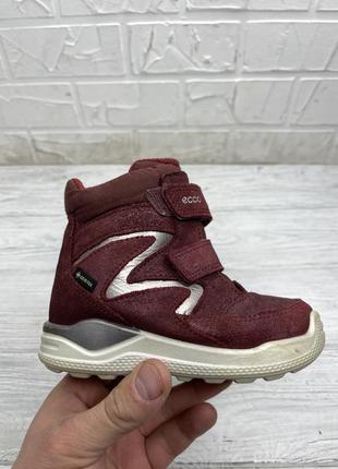 Сапожки зимние ecco gore-tex