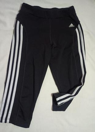 Лосіни жіночі adidas