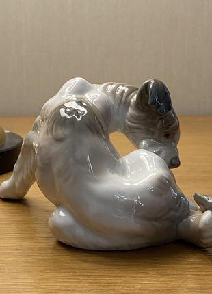 Фарфоровая статуэтка lladro «собака и бабочка».5 фото