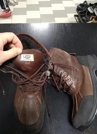 Ботинки ugg gore tex