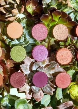 Colourpop - палетка тіней garden variety4 фото