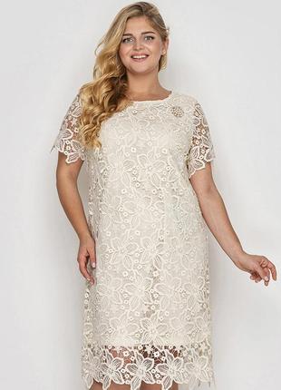 Мереживне плаття елен