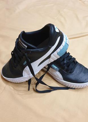 Puma1 фото