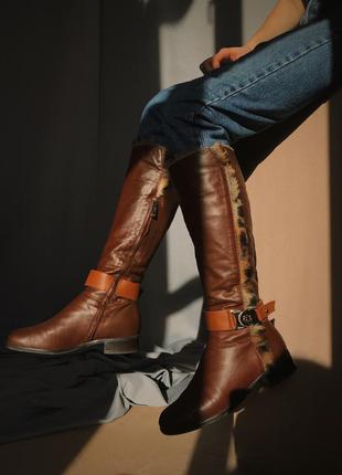 Чоботи baldinini