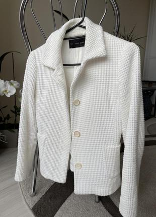 Піджак zara