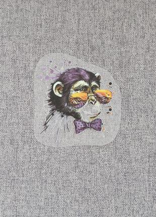 Мавпа в окулярах і метелику. термонаклейка на тканину, одяг